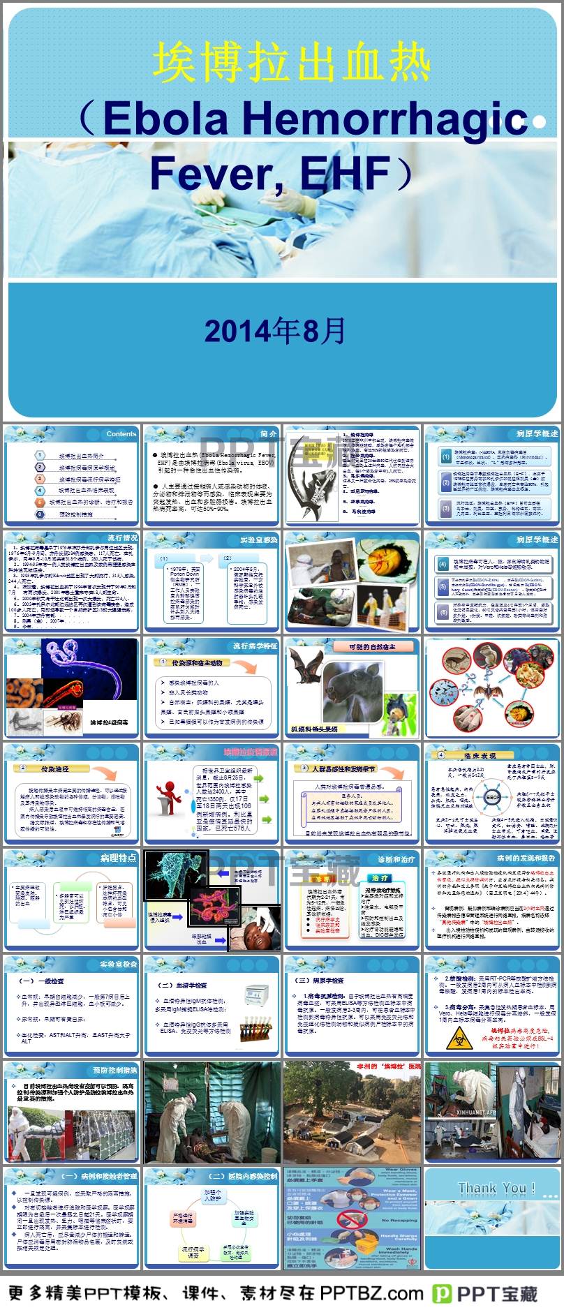 澳门 第17页